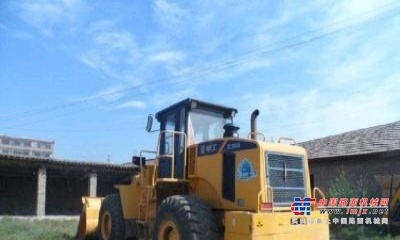 保定市出售转让二手柳工装载机