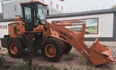 保定市出售转让二手龙工装载机