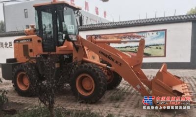 保定市出售转让二手龙工装载机