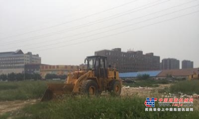 长春市出售转让二手柳工装载机