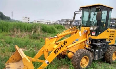 保定市出售转让二手龙工装载机