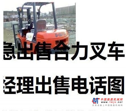 常德市出售转让二手电动叉车