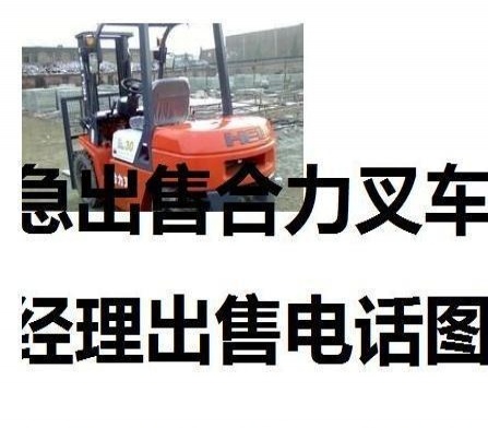 大连市出售转让二手电动叉车