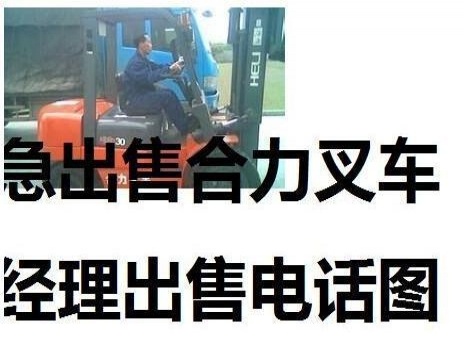 大连市出售转让二手电动叉车