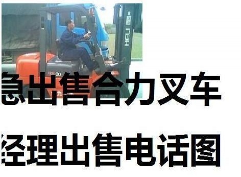 宝鸡市出售转让二手合力电动叉车