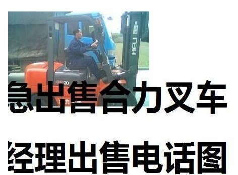 白城市出售转让二手合力电动叉车