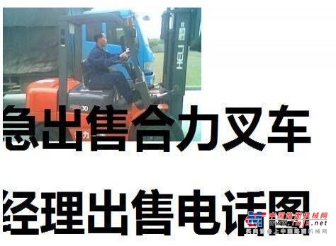 宝鸡市出售转让二手合力电动叉车