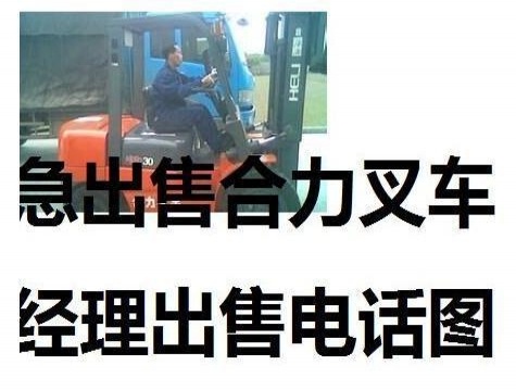 白城市出售转让二手合力电动叉车