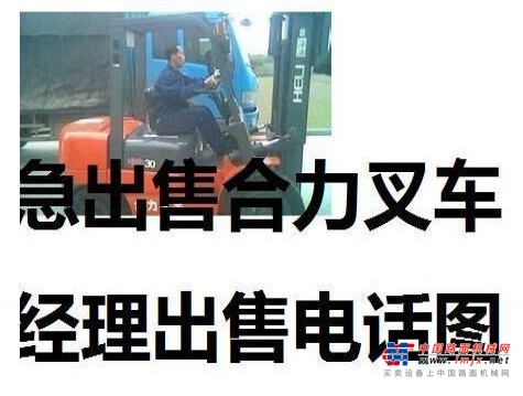 白城市出售转让二手合力电动叉车