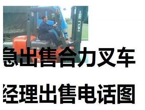 本溪市出售转让二手合力电动叉车