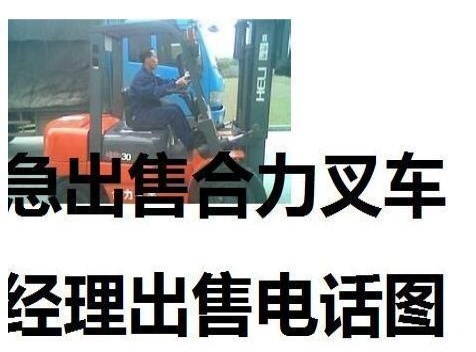 阿拉善盟出售转让二手合力电动叉车