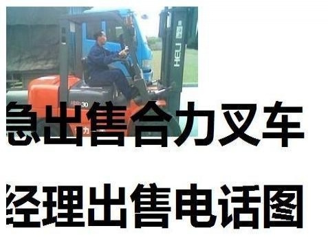 阿里地区出售转让二手合力电动叉车