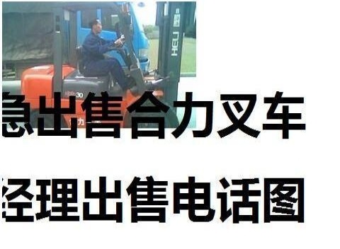 阿拉善盟出售转让二手合力电动叉车