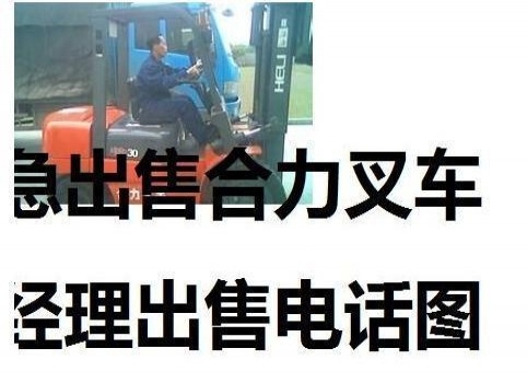 迪庆出售转让二手电动叉车