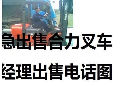阿里地区出售转让二手合力电动叉车