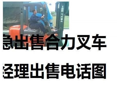 郴州市出售转让二手合力电动叉车