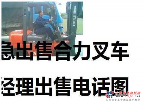 昌都地区出售转让二手合力电动叉车