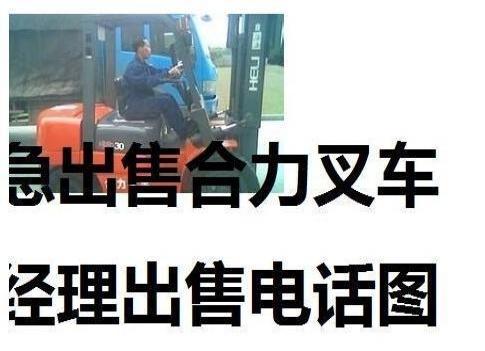 承德市出售转让二手合力电动叉车