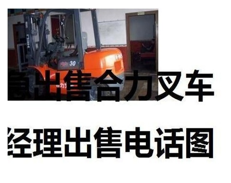 东营市出售转让二手合力电动叉车