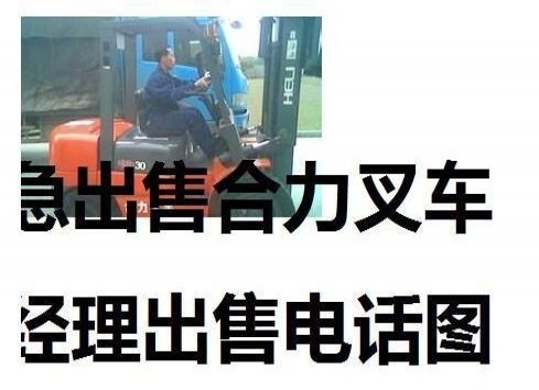 阿拉尔市出售转让二手合力电动叉车