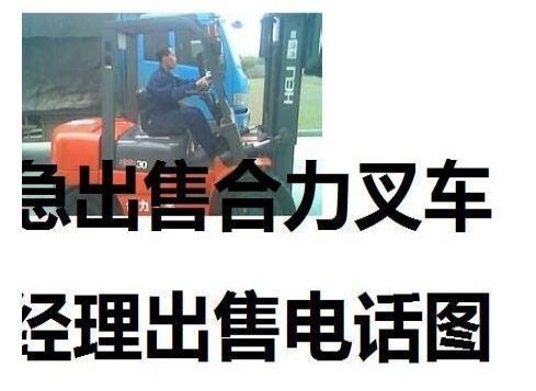 白城市出售转让二手合力电动叉车