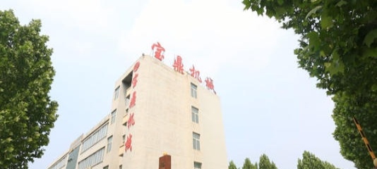 郴州市出售转让二手宝鼎土方机械