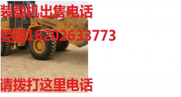保定市出售转让二手龙工装载机