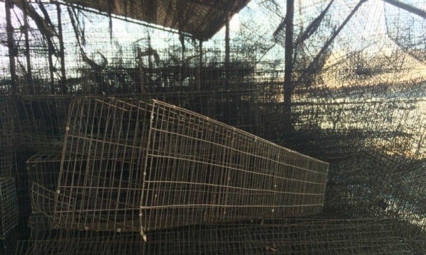 本溪市出售转让二手装载机