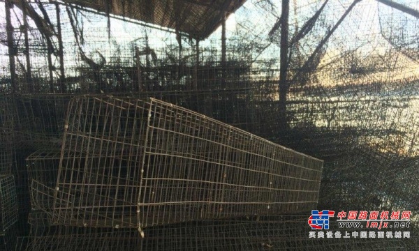 本溪市出售转让二手装载机