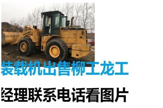 常州市出售转让二手龙工装载机