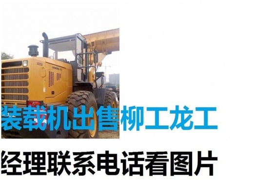 巴中市出售转让二手柳工装载机