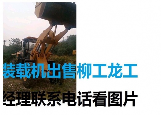 保定市出售转让二手柳工装载机