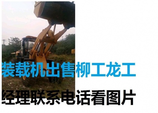 郴州市出售转让二手柳工装载机