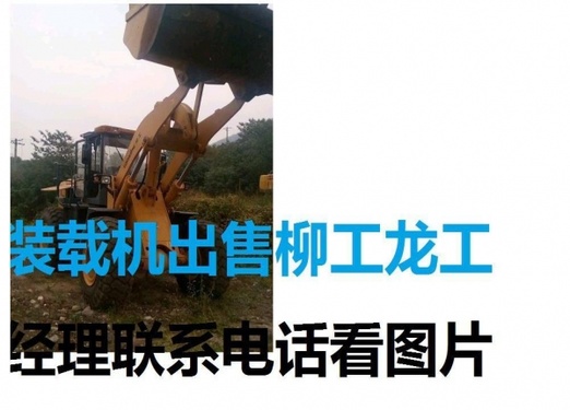 大连市出售转让二手柳工装载机