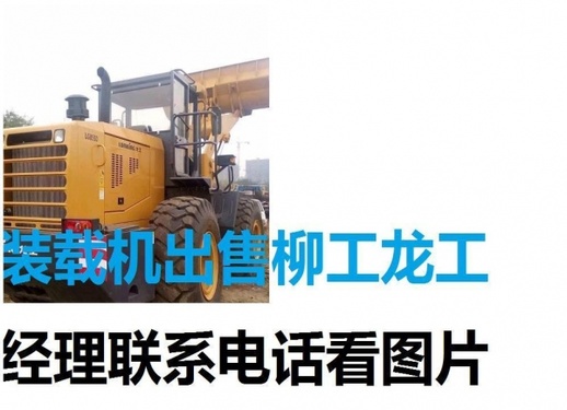 保定市出售转让二手柳工装载机