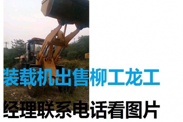 长春市出售转让二手柳工装载机