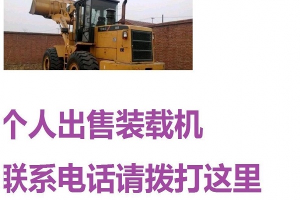 安康市出售转让二手柳工装载机