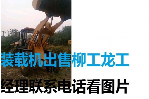 郴州市出售转让二手装载机