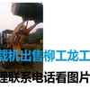 大庆市出售转让二手柳工装载机