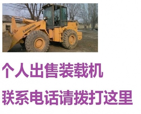 保定市出售转让二手柳工装载机