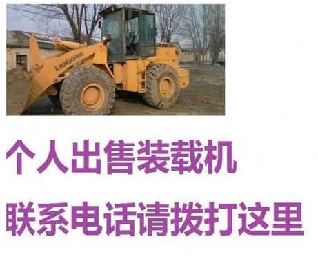 滁州市出售转让二手柳工装载机