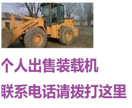滁州市出售转让二手柳工装载机