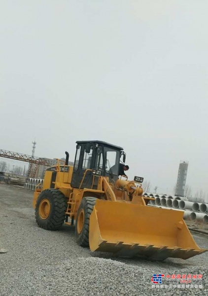 保定市出售转让二手柳工装载机