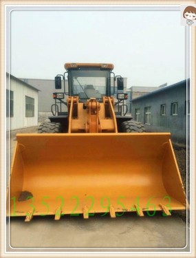 保定市出售转让二手柳工装载机