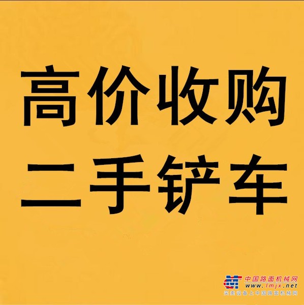滨州市出售转让二手柳工装载机