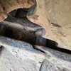 保定市出售转让二手神钢土方机械
