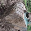 大理出售转让二手其他土方机械
