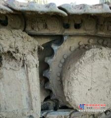 哈尔滨市出售转让二手斗山土方机械