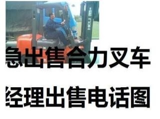 丹东市出售转让二手电动叉车