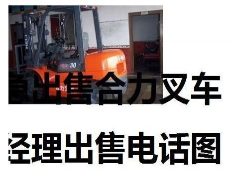 广安市出售转让二手电动叉车